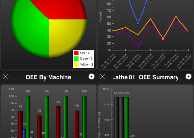 iStatusWatch iPad App Reports